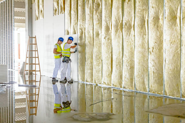 Types of Insulation We Offer in Bulverde, TX